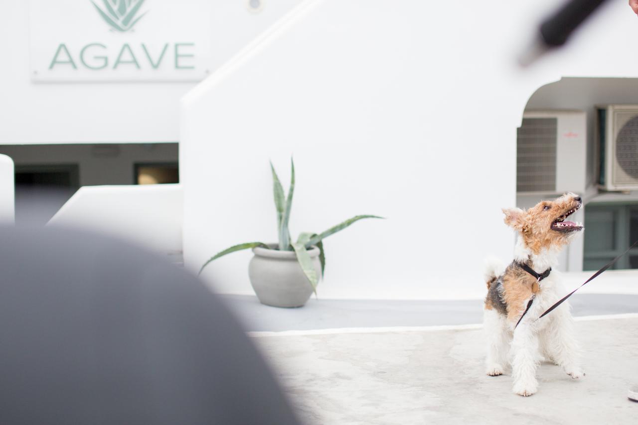 Agave Santorini Design Boutique Hotel Ημεροβίγλι Εξωτερικό φωτογραφία